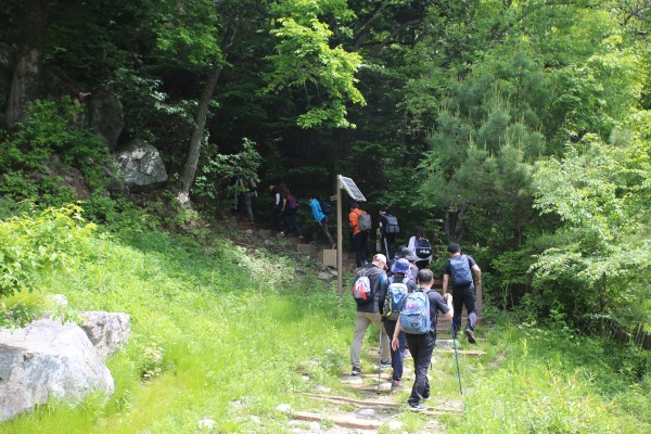 511e05ce75a080d590a4dafd952256f5_1559541